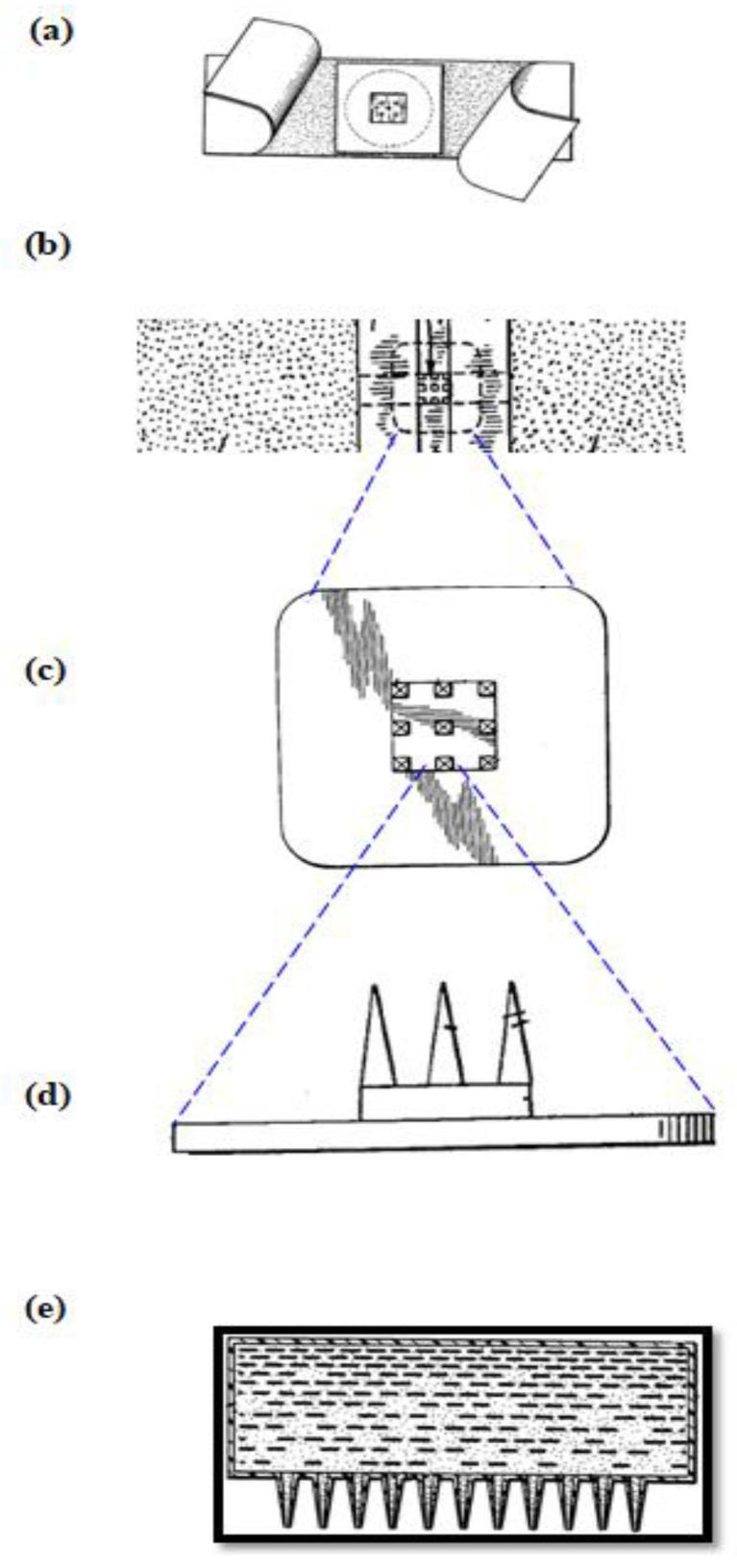 https://cdn.ncbi.nlm.nih.gov/pmc/blobs/44f5/7698361/335f12ede8dd/pharmaceutics-12-01101-g001.jpg