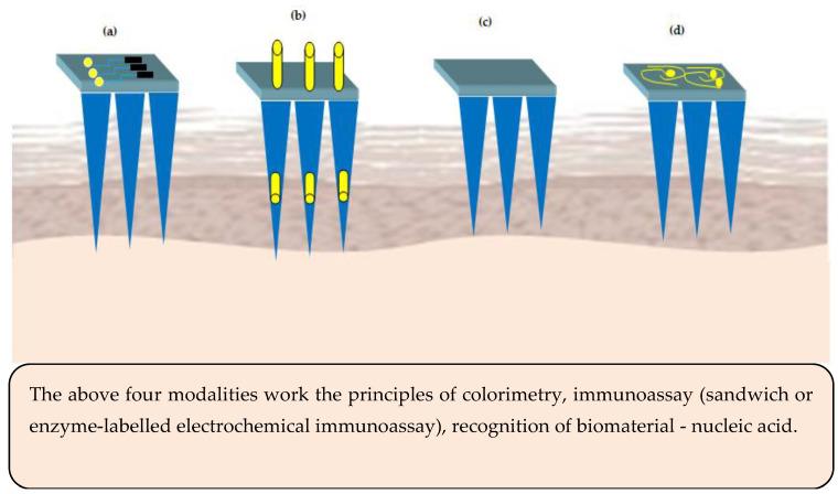 https://cdn.ncbi.nlm.nih.gov/pmc/blobs/44f5/7698361/440c6c4b6cc3/pharmaceutics-12-01101-g005.jpg