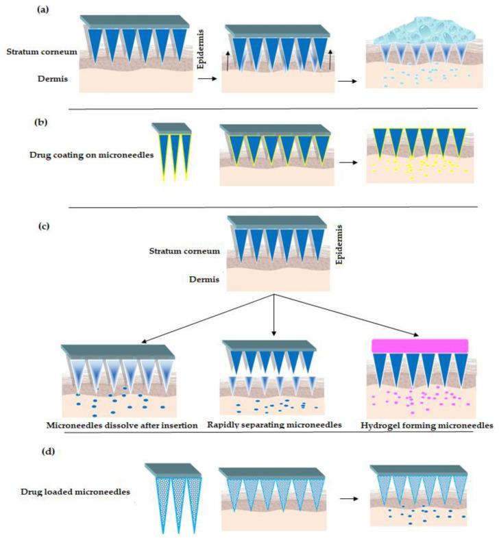 https://cdn.ncbi.nlm.nih.gov/pmc/blobs/44f5/7698361/8e3534a7fe21/pharmaceutics-12-01101-g002.jpg