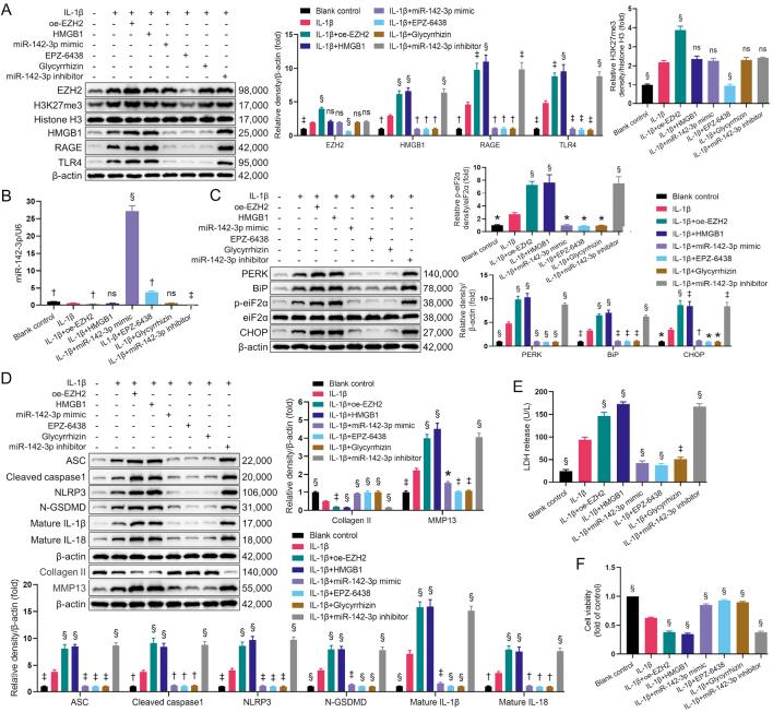 https://cdn.ncbi.nlm.nih.gov/pmc/blobs/44f7/11717515/4bea012e712a/cm9-138-079-g002.jpg