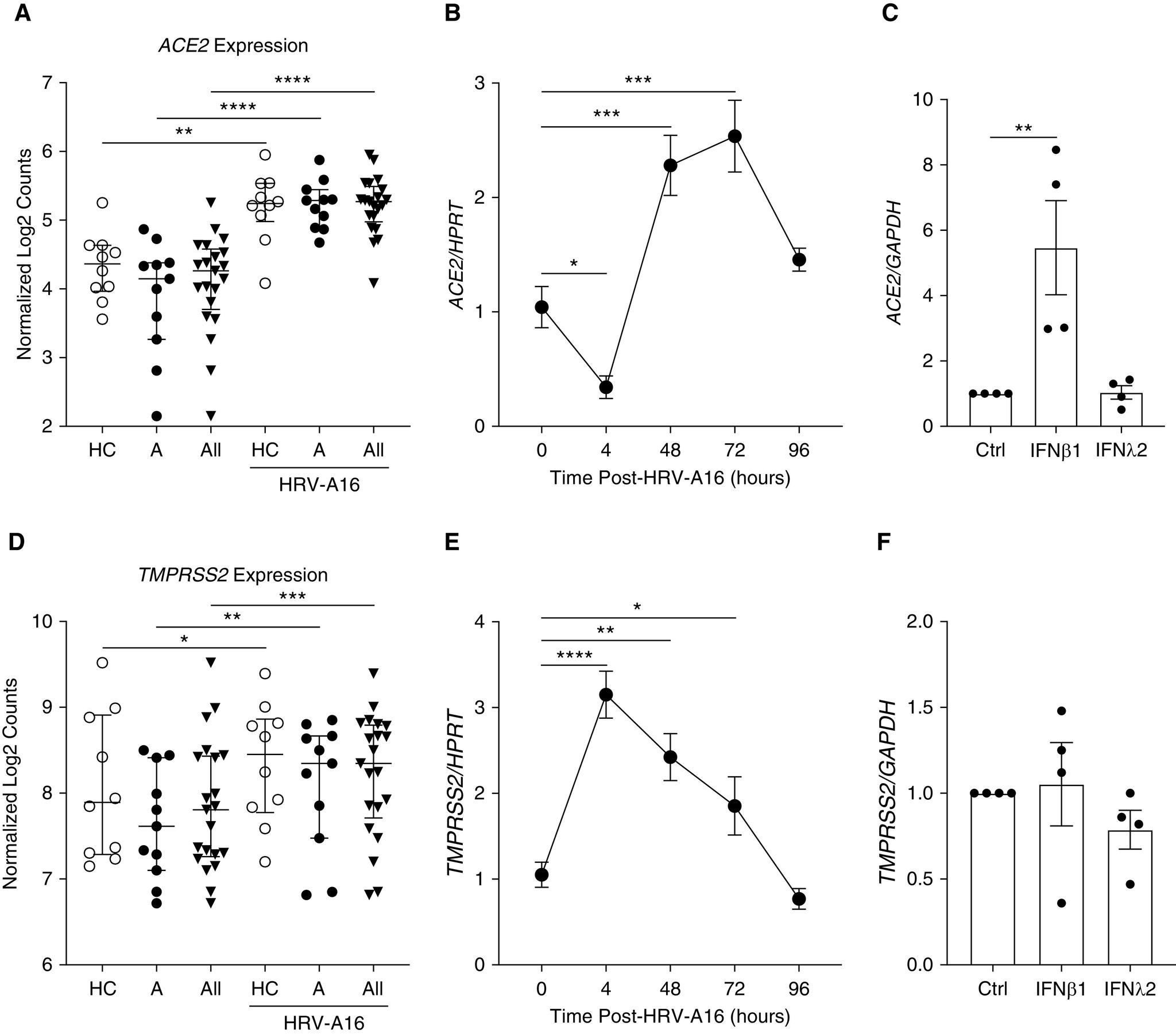 https://cdn.ncbi.nlm.nih.gov/pmc/blobs/44f7/7790138/8139f74b99f7/rcmb.2020-0394LEf2.jpg