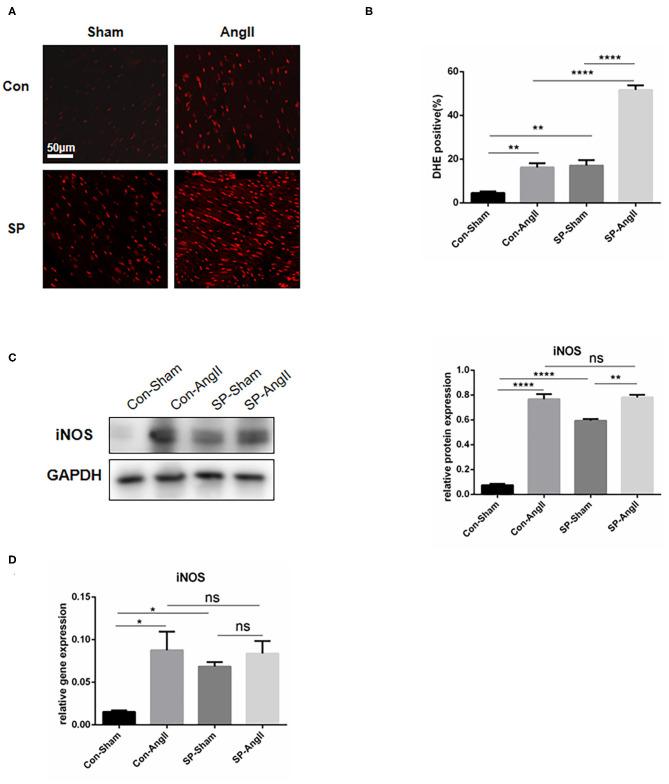 https://cdn.ncbi.nlm.nih.gov/pmc/blobs/44f8/8242582/5506d31a253f/fcvm-08-664626-g0003.jpg