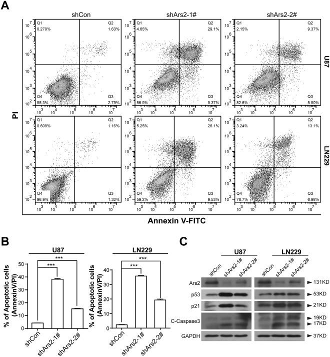 https://cdn.ncbi.nlm.nih.gov/pmc/blobs/44f9/6197286/201539994ce7/41598_2018_33905_Fig4_HTML.jpg
