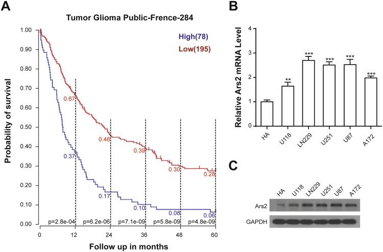 https://cdn.ncbi.nlm.nih.gov/pmc/blobs/44f9/6197286/2a93661dd36e/41598_2018_33905_Fig1_HTML.jpg
