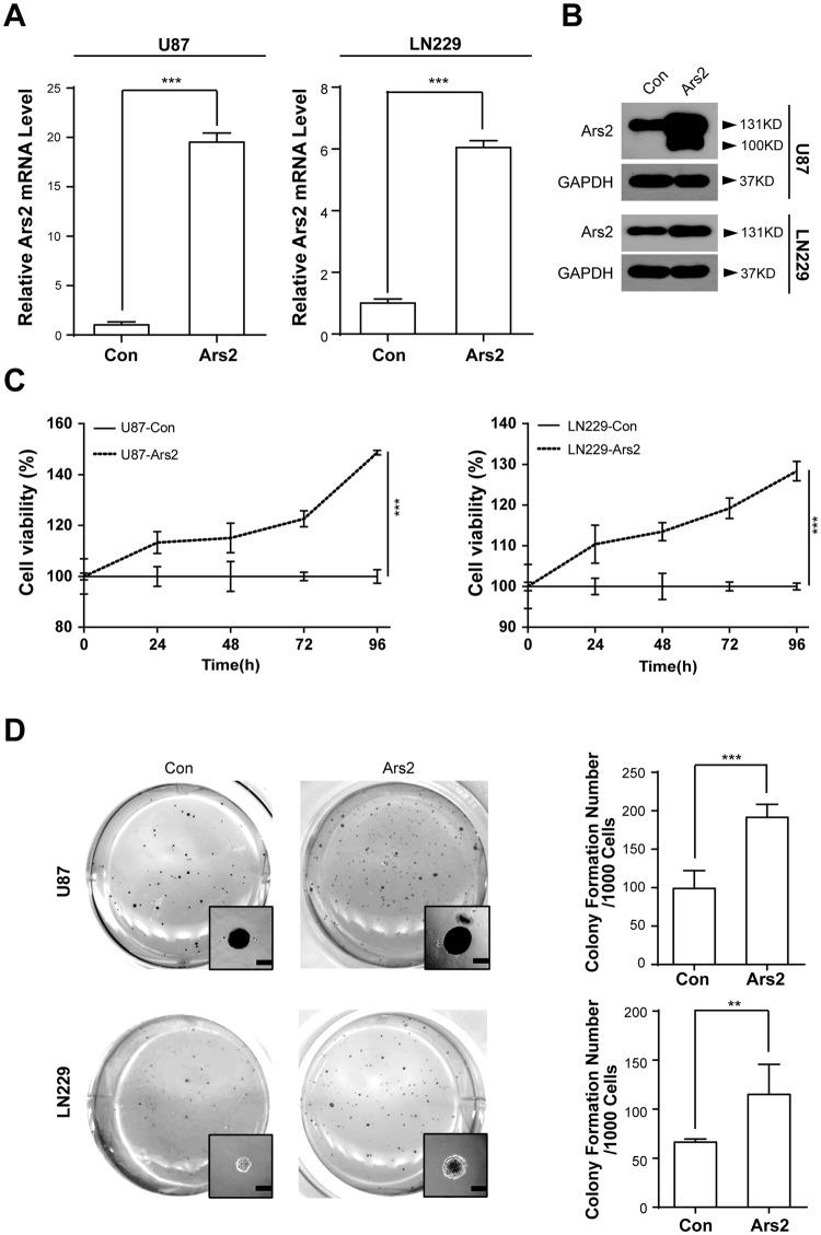 https://cdn.ncbi.nlm.nih.gov/pmc/blobs/44f9/6197286/72cd8ad1778c/41598_2018_33905_Fig2_HTML.jpg