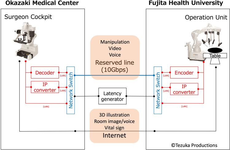 https://cdn.ncbi.nlm.nih.gov/pmc/blobs/44fd/9562055/fffb93a9b454/423_2022_2710_Fig2_HTML.jpg
