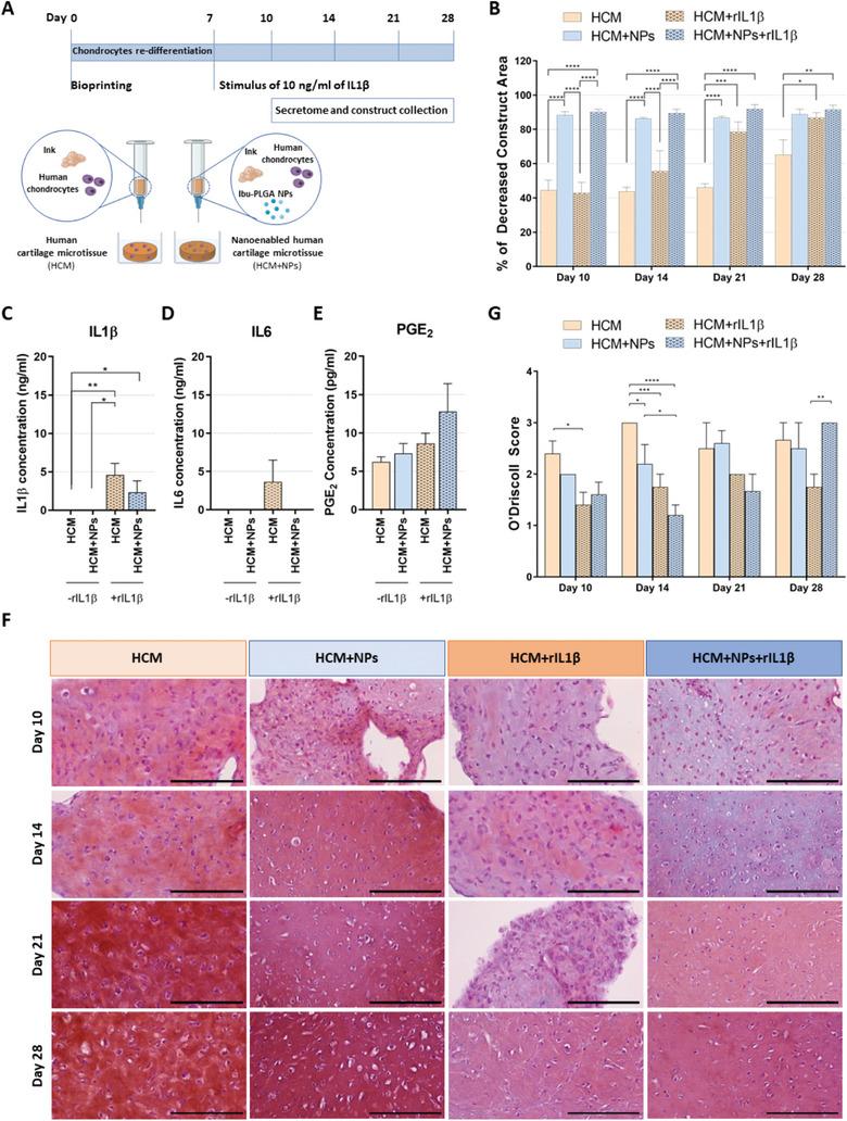 https://cdn.ncbi.nlm.nih.gov/pmc/blobs/44ff/11834377/676f0f5dbd29/ADHM-14-0-g005.jpg