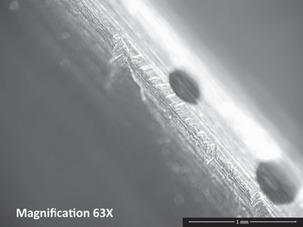 https://cdn.ncbi.nlm.nih.gov/pmc/blobs/4503/7156168/0528c73a69e5/moj-14-007-f5.jpg