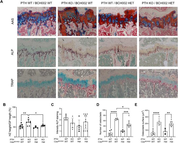 https://cdn.ncbi.nlm.nih.gov/pmc/blobs/4504/11033242/acbcdd3b90e2/424_2024_2927_Fig6_HTML.jpg