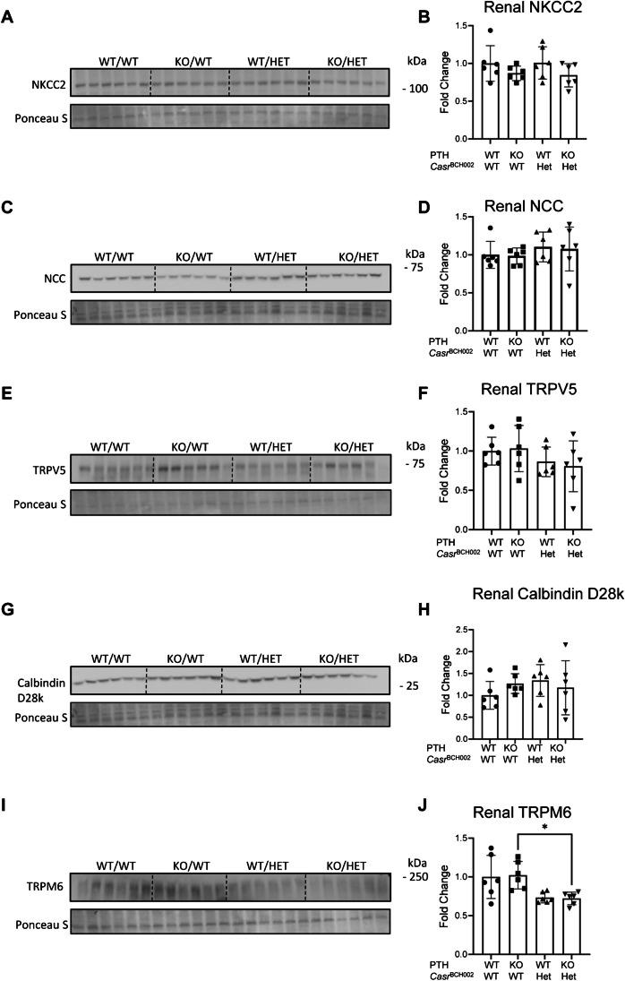 https://cdn.ncbi.nlm.nih.gov/pmc/blobs/4504/11033242/d15c870baca1/424_2024_2927_Fig4_HTML.jpg
