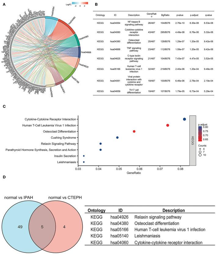 https://cdn.ncbi.nlm.nih.gov/pmc/blobs/4505/9748075/adad12c7dc34/fcvm-09-945854-g0003.jpg