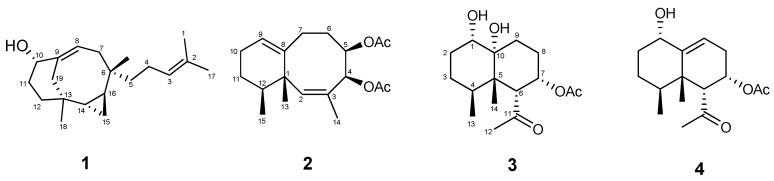 https://cdn.ncbi.nlm.nih.gov/pmc/blobs/4508/5742852/07b4c85a0581/marinedrugs-15-00392-g001.jpg
