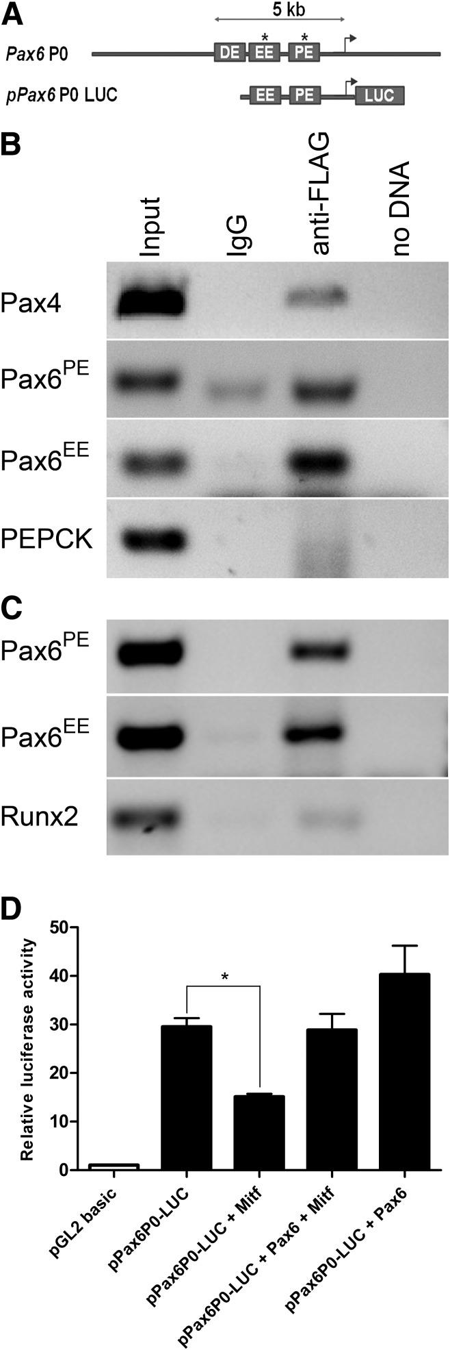 https://cdn.ncbi.nlm.nih.gov/pmc/blobs/4509/3717881/ff37793fc0fb/2834fig6.jpg