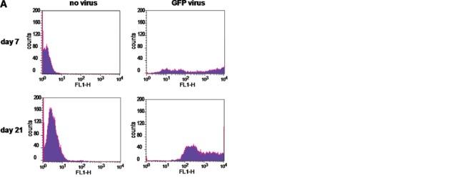 https://cdn.ncbi.nlm.nih.gov/pmc/blobs/4509/4297071/3cfee8d88517/10.1177_1947603510361238-fig4.jpg