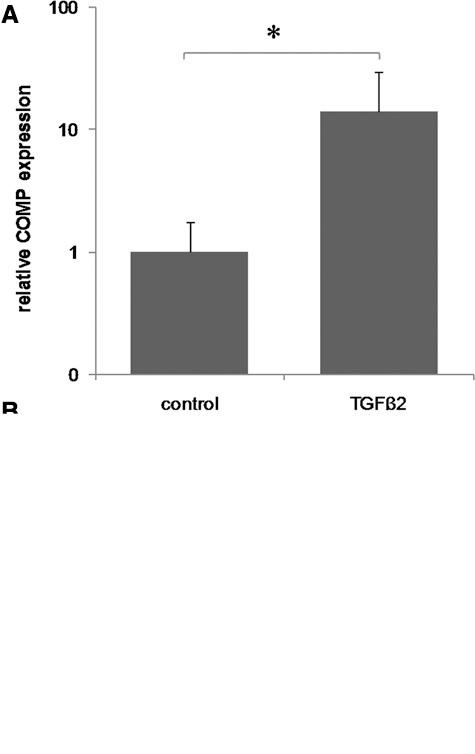 https://cdn.ncbi.nlm.nih.gov/pmc/blobs/4509/4297071/9f4278ab551d/10.1177_1947603510361238-fig1.jpg