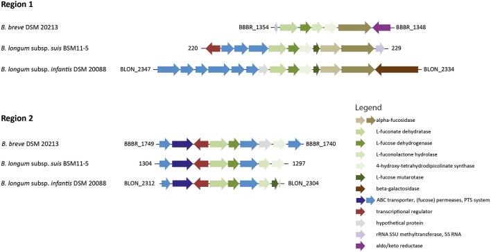 https://cdn.ncbi.nlm.nih.gov/pmc/blobs/450a/5277004/8189e49aa904/fmicb-08-00095-g0004.jpg