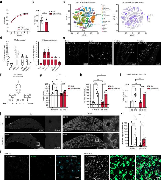 https://cdn.ncbi.nlm.nih.gov/pmc/blobs/450c/11213871/ec0ad44438a0/41467_2024_49449_Fig2_HTML.jpg