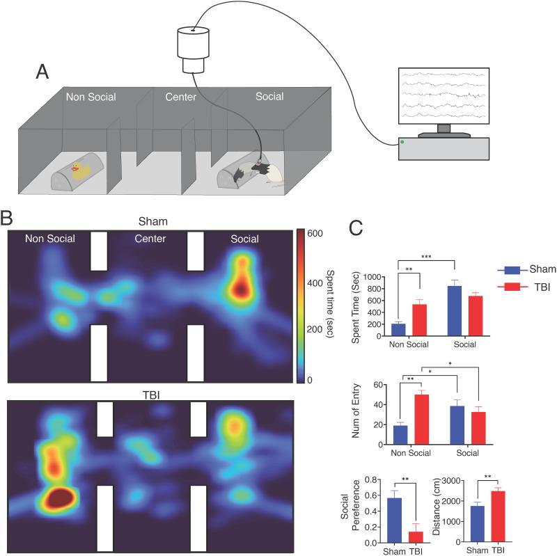 https://cdn.ncbi.nlm.nih.gov/pmc/blobs/450f/11675011/5656d89fb896/netn-8-4-1634-g001.jpg
