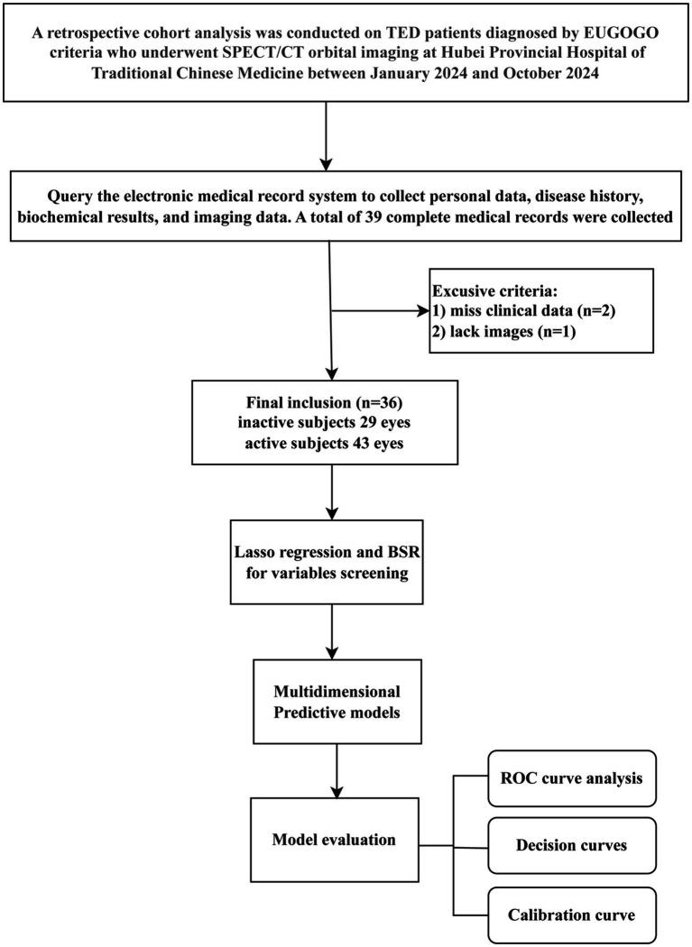 https://cdn.ncbi.nlm.nih.gov/pmc/blobs/4510/12279714/4c3648faca32/fmed-12-1623286-g001.jpg
