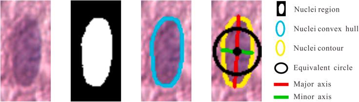 https://cdn.ncbi.nlm.nih.gov/pmc/blobs/4513/11145340/60fb382edc8f/gr5.jpg