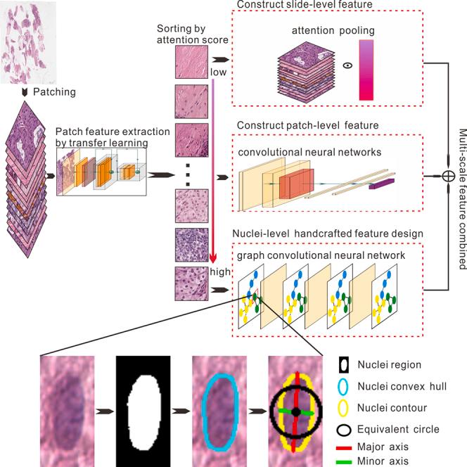 https://cdn.ncbi.nlm.nih.gov/pmc/blobs/4513/11145340/6a1516c2c37b/fx1.jpg
