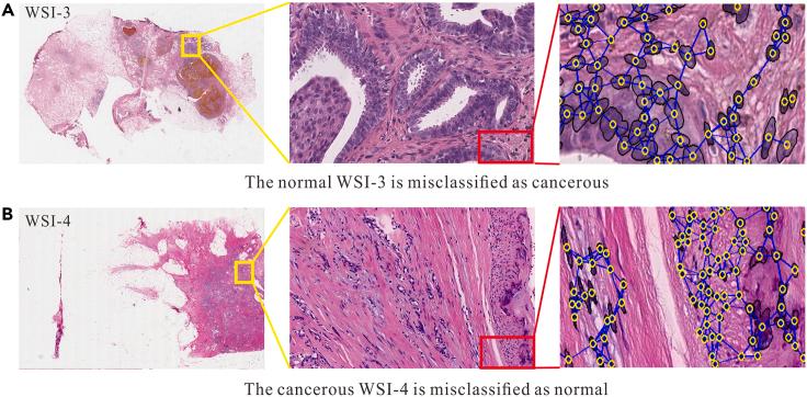 https://cdn.ncbi.nlm.nih.gov/pmc/blobs/4513/11145340/aa57e70110bf/gr9.jpg