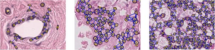 https://cdn.ncbi.nlm.nih.gov/pmc/blobs/4513/11145340/afe13bd07724/gr13.jpg