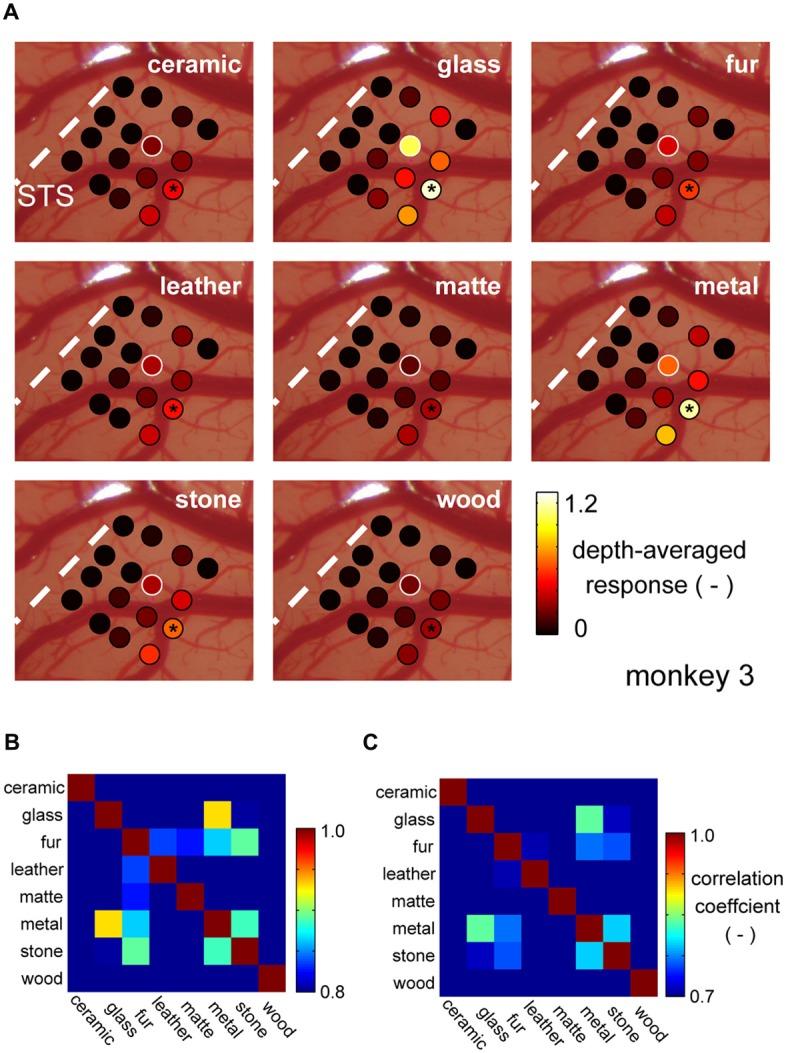 https://cdn.ncbi.nlm.nih.gov/pmc/blobs/4513/5355424/6d03ea63403c/fncir-11-00017-g0004.jpg