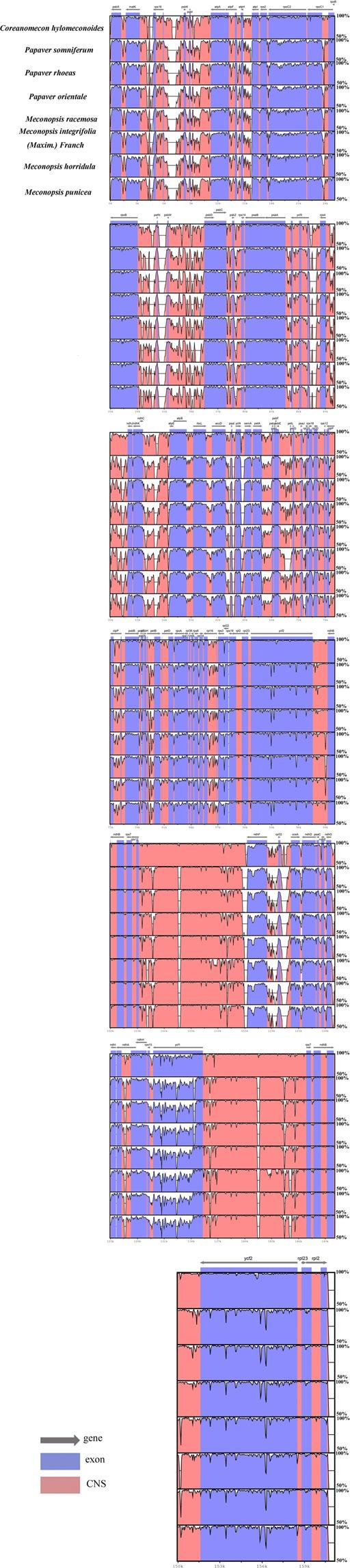 https://cdn.ncbi.nlm.nih.gov/pmc/blobs/4517/6646306/5212dd7e16c4/41598_2019_47008_Fig5_HTML.jpg