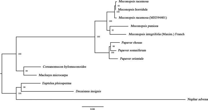 https://cdn.ncbi.nlm.nih.gov/pmc/blobs/4517/6646306/7144ea651e76/41598_2019_47008_Fig7_HTML.jpg