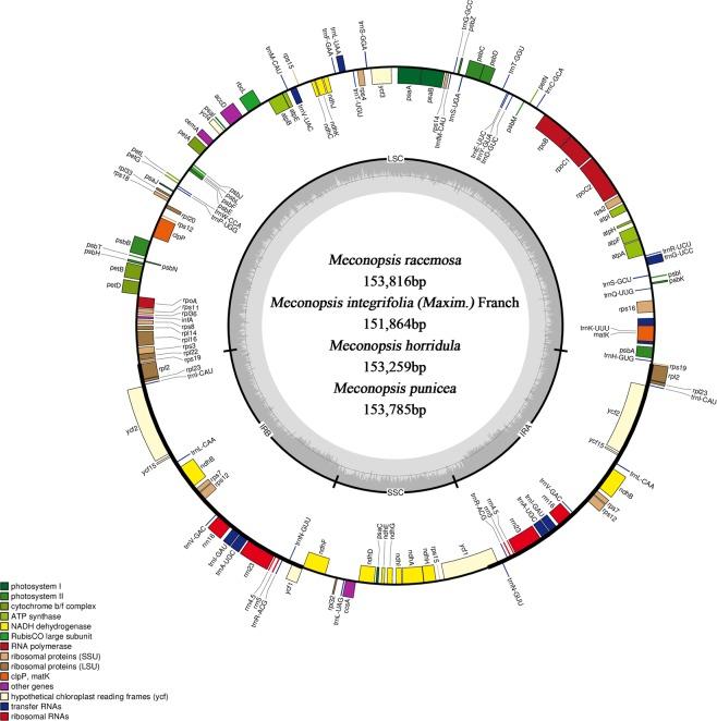 https://cdn.ncbi.nlm.nih.gov/pmc/blobs/4517/6646306/fa7e10942559/41598_2019_47008_Fig1_HTML.jpg