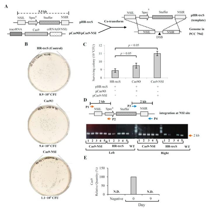 https://cdn.ncbi.nlm.nih.gov/pmc/blobs/451a/6789541/c646f9831ec6/life-09-00054-g005.jpg