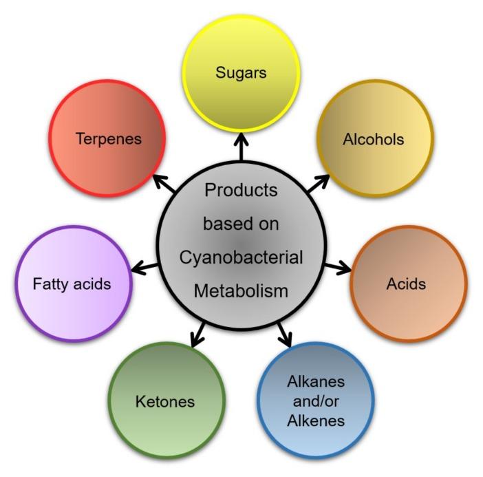 https://cdn.ncbi.nlm.nih.gov/pmc/blobs/451a/6789541/f5a6d43230ad/life-09-00054-g002.jpg