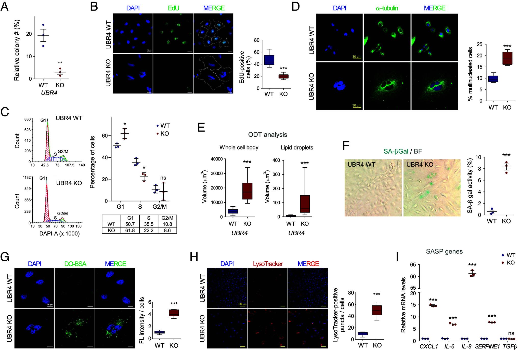 https://cdn.ncbi.nlm.nih.gov/pmc/blobs/451b/12207436/c79e22813d34/pnas.2425015122fig02.jpg