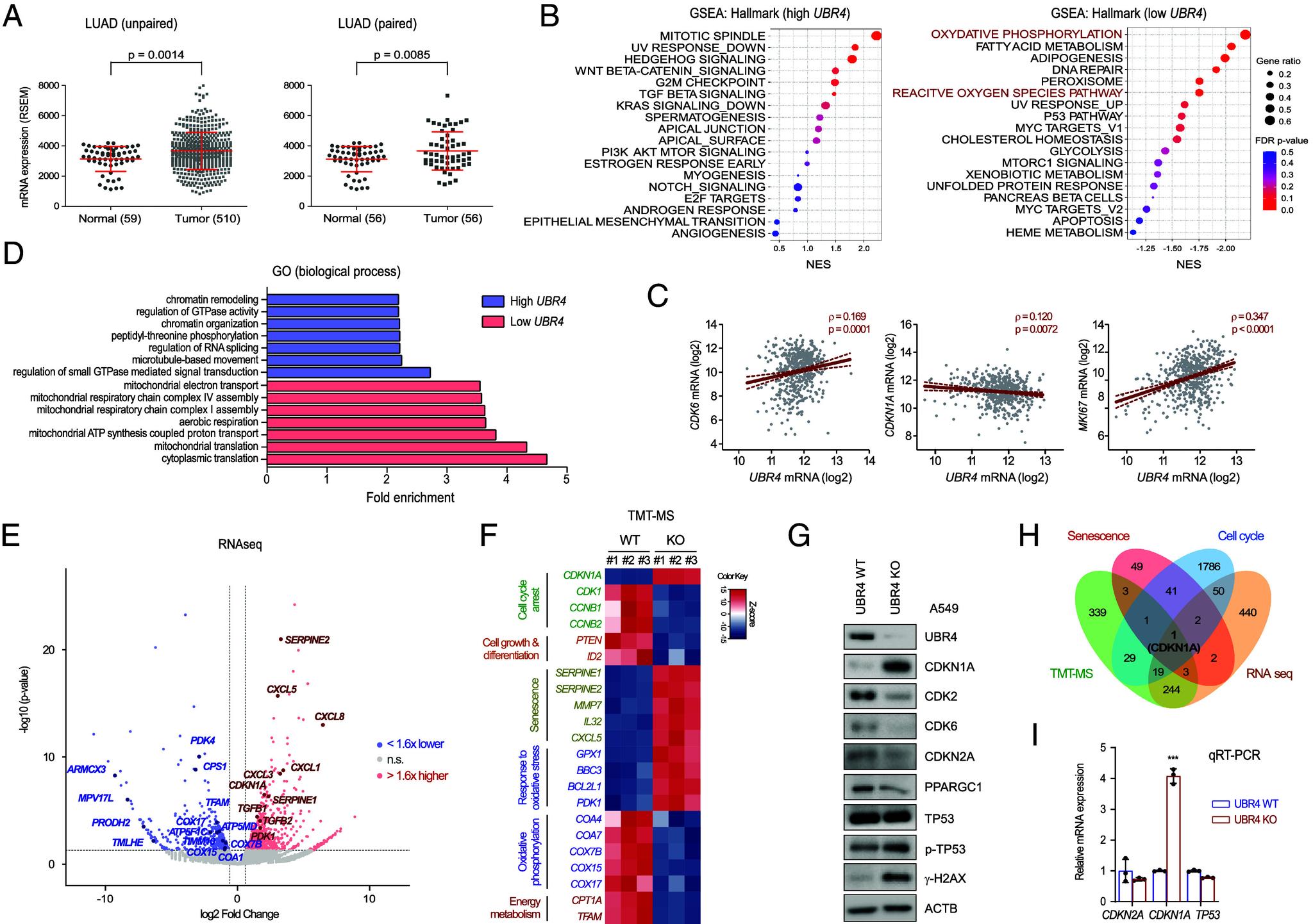 https://cdn.ncbi.nlm.nih.gov/pmc/blobs/451b/12207436/dad2aa97b54b/pnas.2425015122fig01.jpg