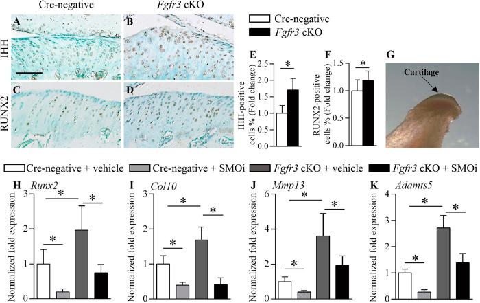 https://cdn.ncbi.nlm.nih.gov/pmc/blobs/451c/4819201/94a0a6c7ed3b/srep24039-f4.jpg
