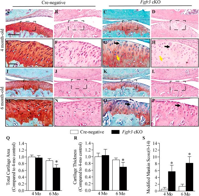 https://cdn.ncbi.nlm.nih.gov/pmc/blobs/451c/4819201/b5f4fb17dde3/srep24039-f2.jpg