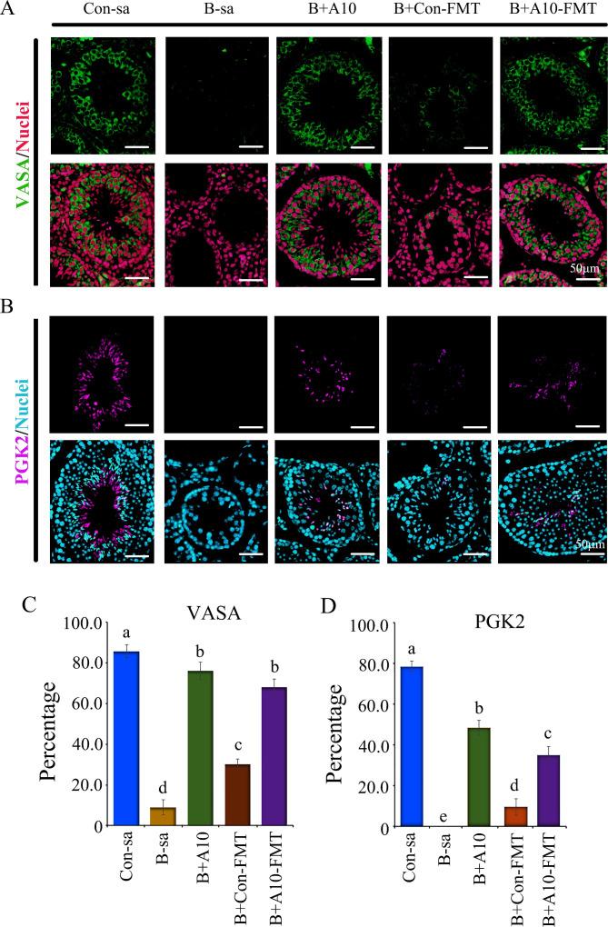 https://cdn.ncbi.nlm.nih.gov/pmc/blobs/451d/8515102/6ca05d3069b3/gutjnl-2020-323593f02.jpg