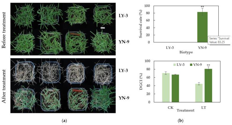 https://cdn.ncbi.nlm.nih.gov/pmc/blobs/451f/8839389/52f71082af63/plants-11-00429-g003.jpg
