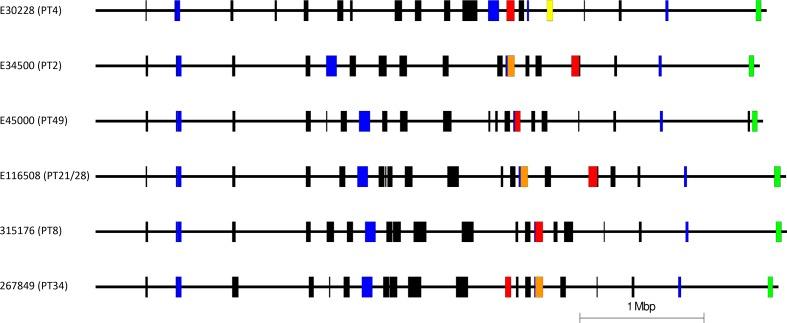 https://cdn.ncbi.nlm.nih.gov/pmc/blobs/4520/7200060/42889bc48a55/mgen-6-334-g002.jpg