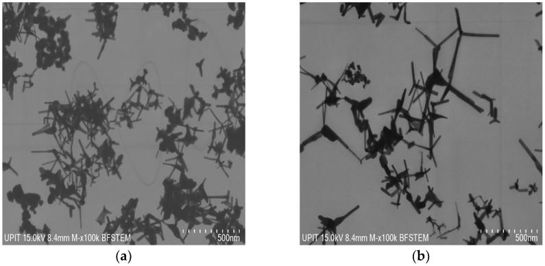 https://cdn.ncbi.nlm.nih.gov/pmc/blobs/4522/10573445/c40d082ec510/materials-16-06417-g005a.jpg