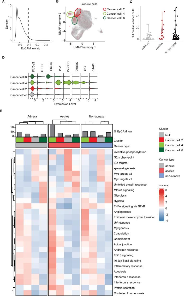 https://cdn.ncbi.nlm.nih.gov/pmc/blobs/4522/10923901/c6677565e7fb/41418_2024_1267_Fig2_HTML.jpg