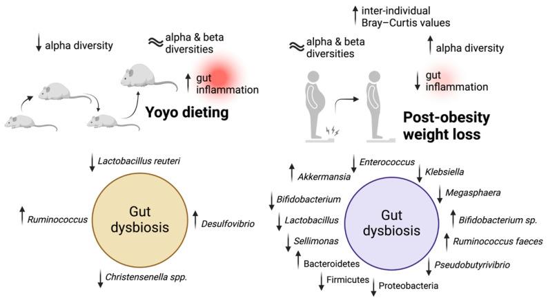 https://cdn.ncbi.nlm.nih.gov/pmc/blobs/4524/11435324/04605c622a70/nutrients-16-03170-g001.jpg