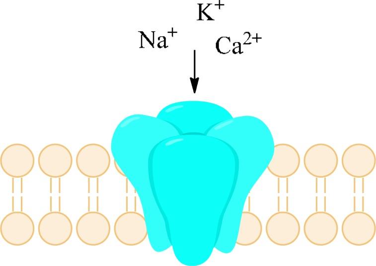 https://cdn.ncbi.nlm.nih.gov/pmc/blobs/4524/3706965/36cffa962f81/CMC-20-1241_F35.jpg