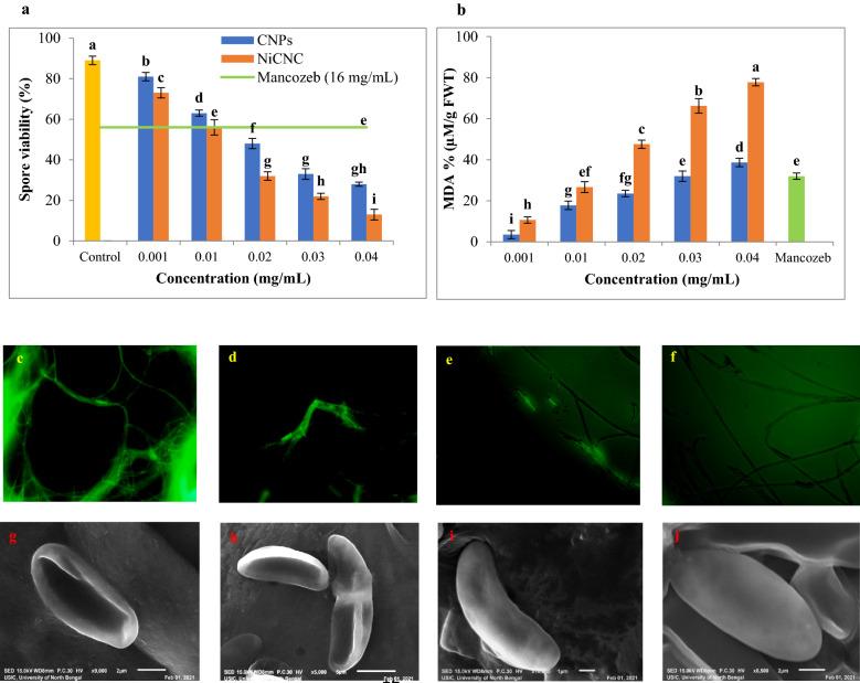 https://cdn.ncbi.nlm.nih.gov/pmc/blobs/4525/9411138/12696c4b8b70/41598_2022_18670_Fig5_HTML.jpg