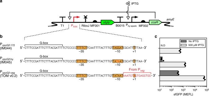 https://cdn.ncbi.nlm.nih.gov/pmc/blobs/4526/6629627/39590d51b13b/41467_2019_10906_Fig4_HTML.jpg