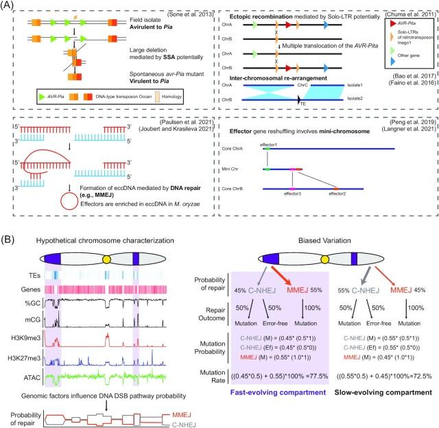 https://cdn.ncbi.nlm.nih.gov/pmc/blobs/4528/9779921/956298228200/fuac035fig4.jpg