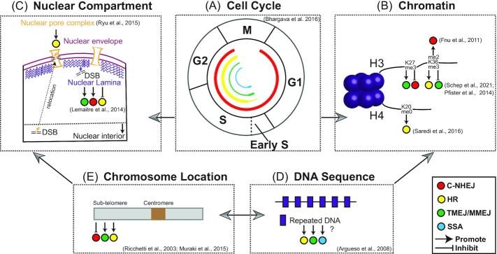 https://cdn.ncbi.nlm.nih.gov/pmc/blobs/4528/9779921/de10d83f3234/fuac035fig2.jpg