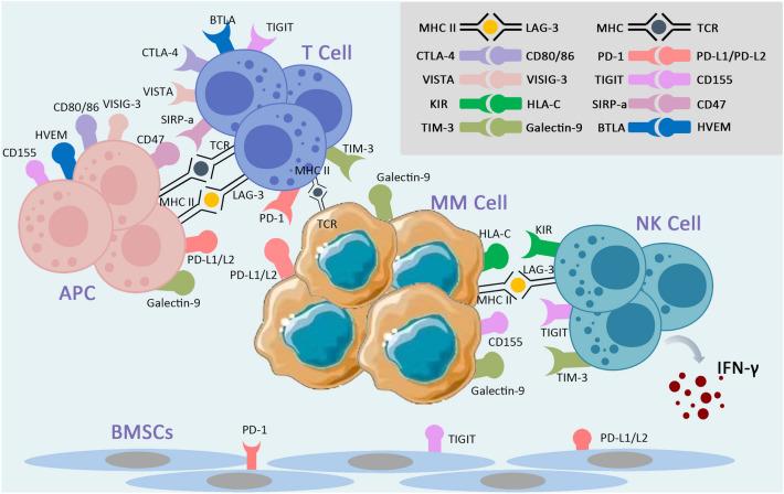 https://cdn.ncbi.nlm.nih.gov/pmc/blobs/4529/10685608/34c136c5b208/40164_2023_456_Fig1_HTML.jpg