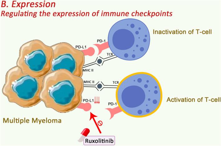 https://cdn.ncbi.nlm.nih.gov/pmc/blobs/4529/10685608/d704901f54f8/40164_2023_456_Fig4_HTML.jpg